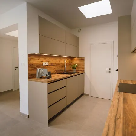 Appartement Brno-podebradova *