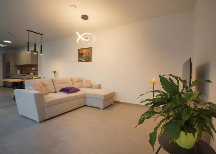 Brno-podebradova Apartment