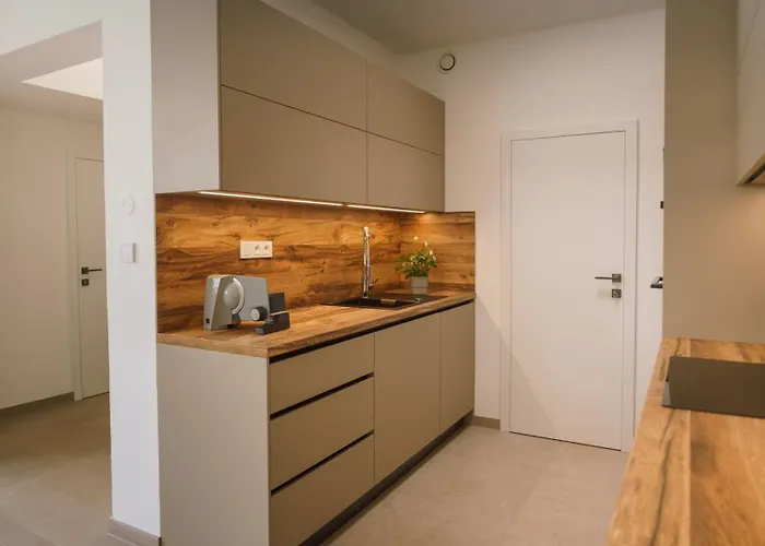 Apartment Brno-podebradova *